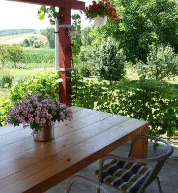 Veranda vakantiehuisje Hongarije